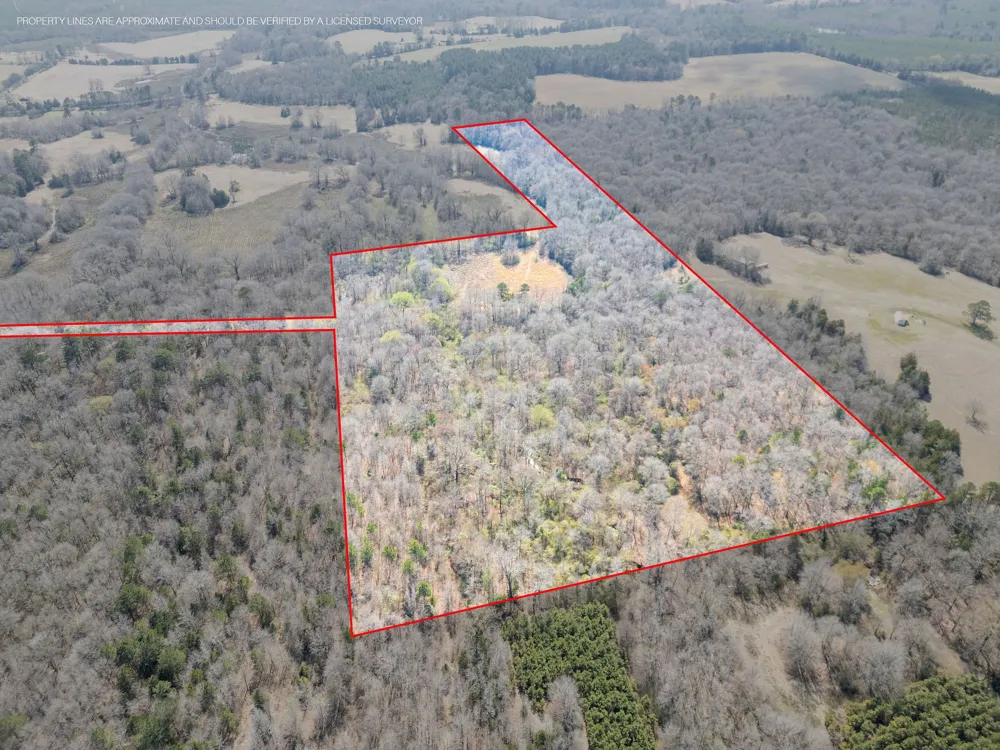 Stevens Road Marietta, TX 75566