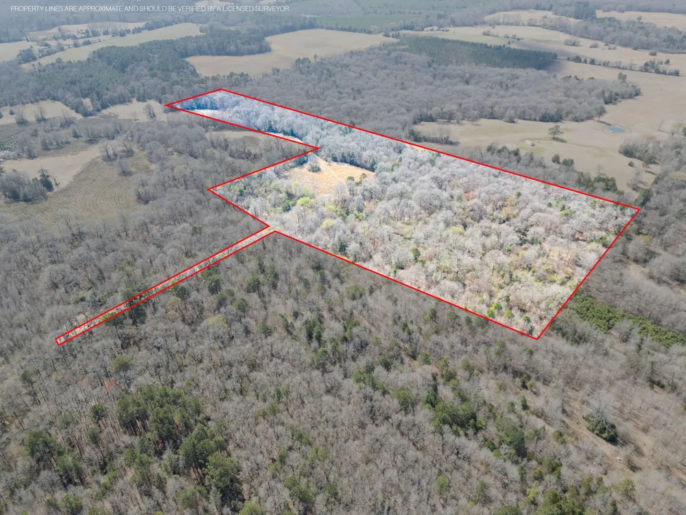 Stevens Road Marietta, TX 75566