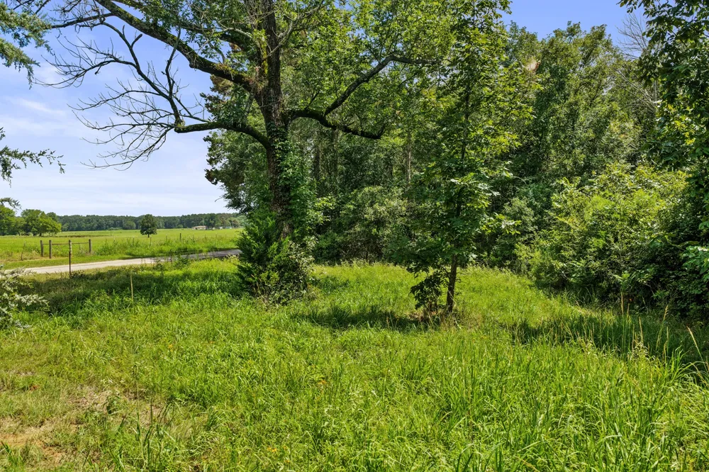 CR 3180 Mt Pleasant, TX 75455