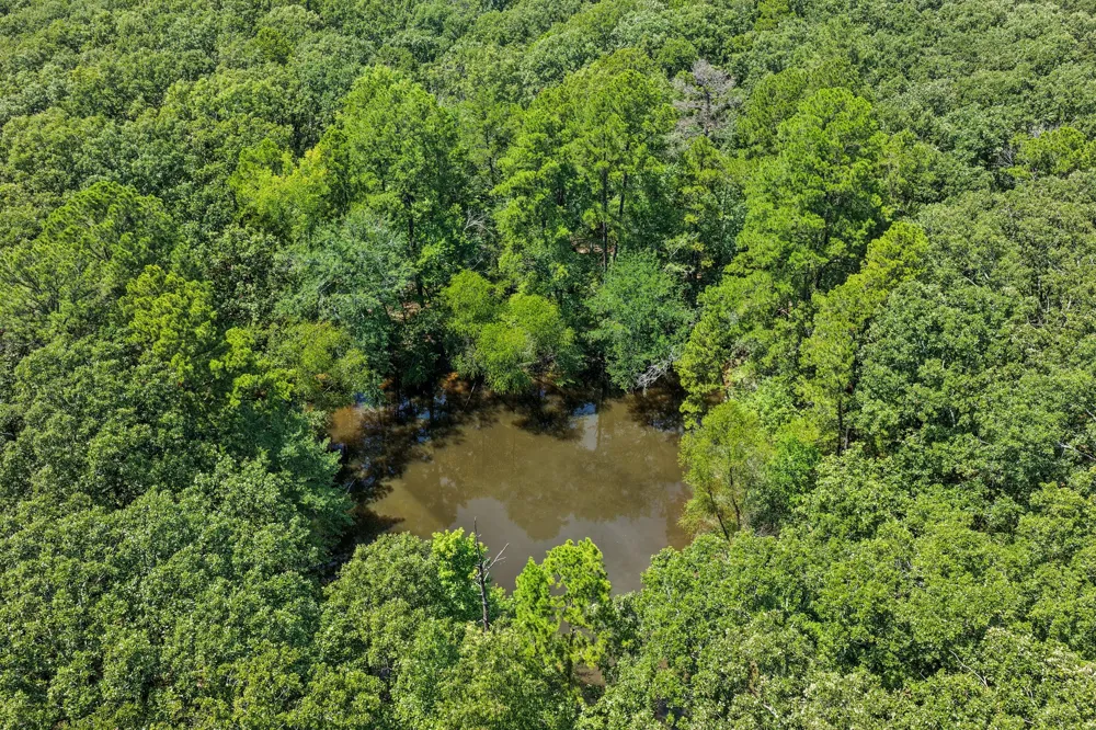 CR 3180 Mt Pleasant, TX 75455