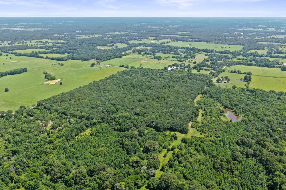CR 3180 Mt Pleasant, TX 75455