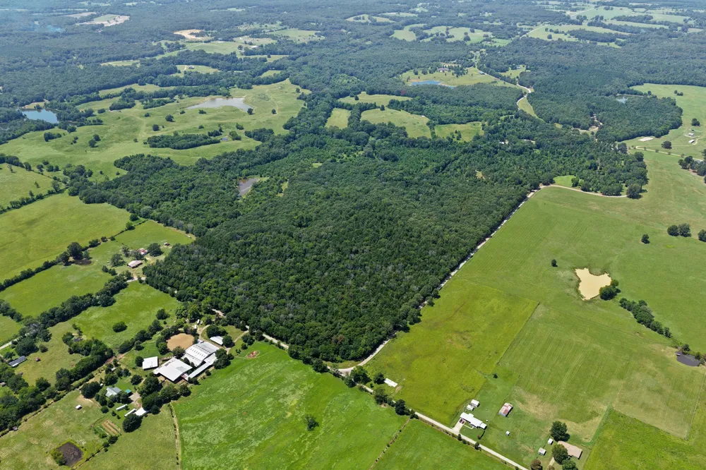 CR 3180 Mt Pleasant, TX 75455