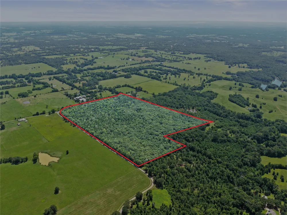 CR 3180 Mt Pleasant, TX 75455