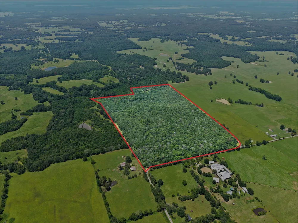 CR 3180 Mt Pleasant, TX 75455