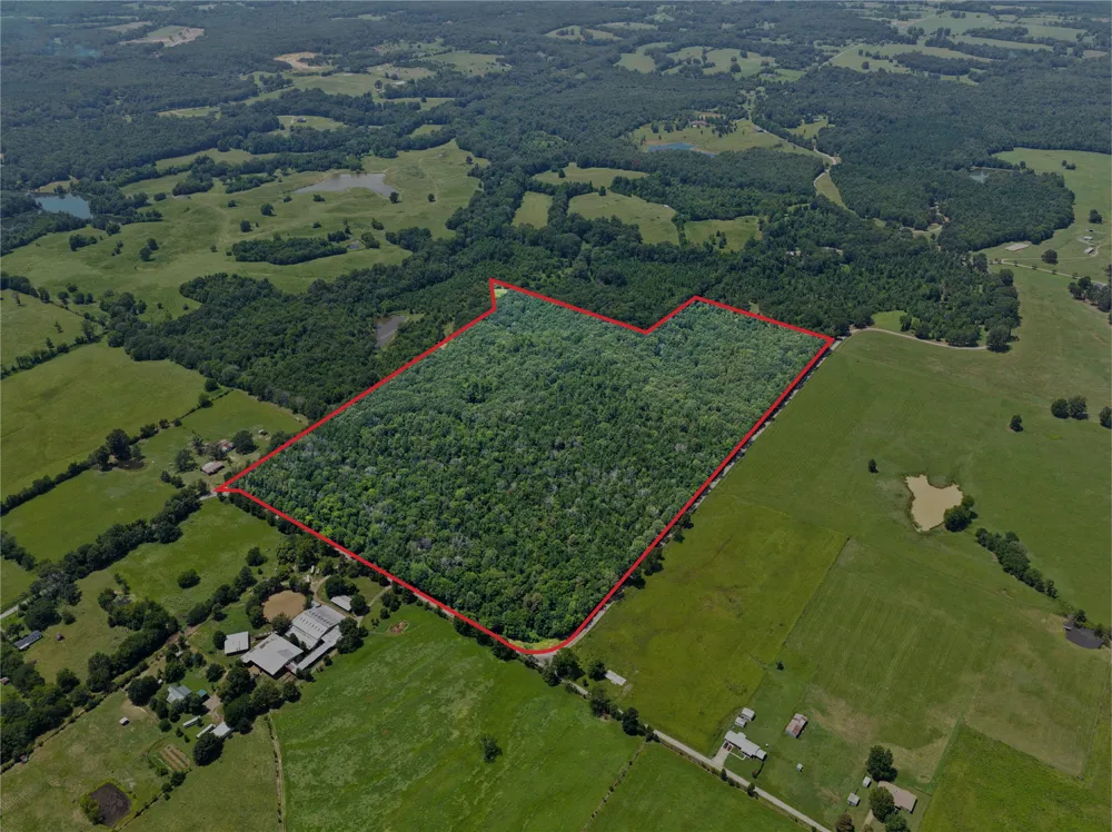 CR 3180 Mt Pleasant, TX 75455