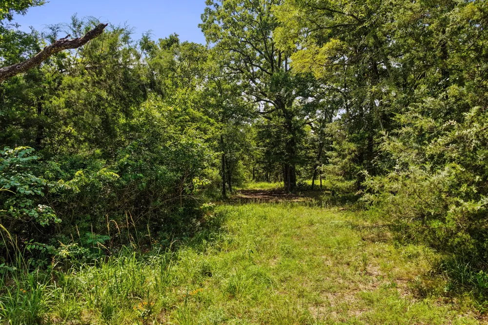 CR 3180 Mt Pleasant, TX 75455
