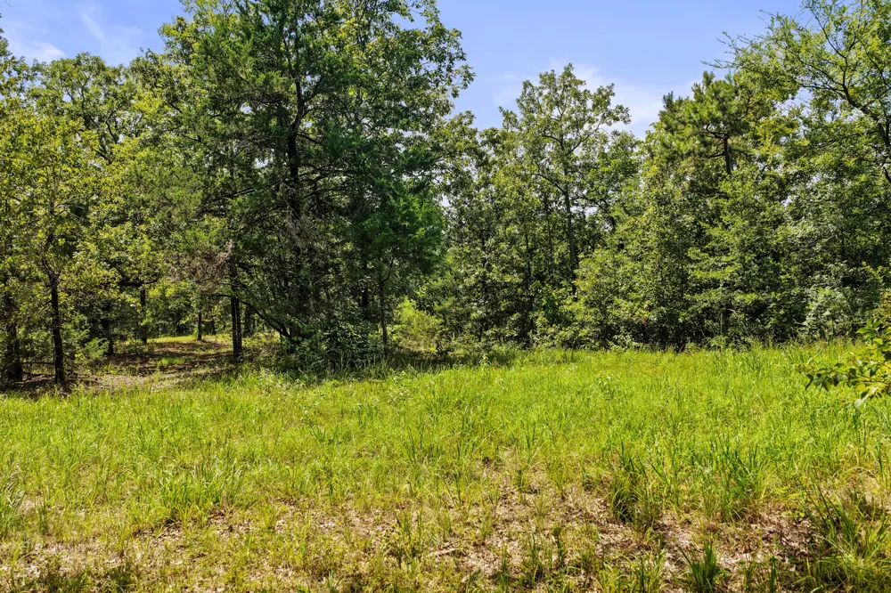 CR 3180 Mt Pleasant, TX 75455
