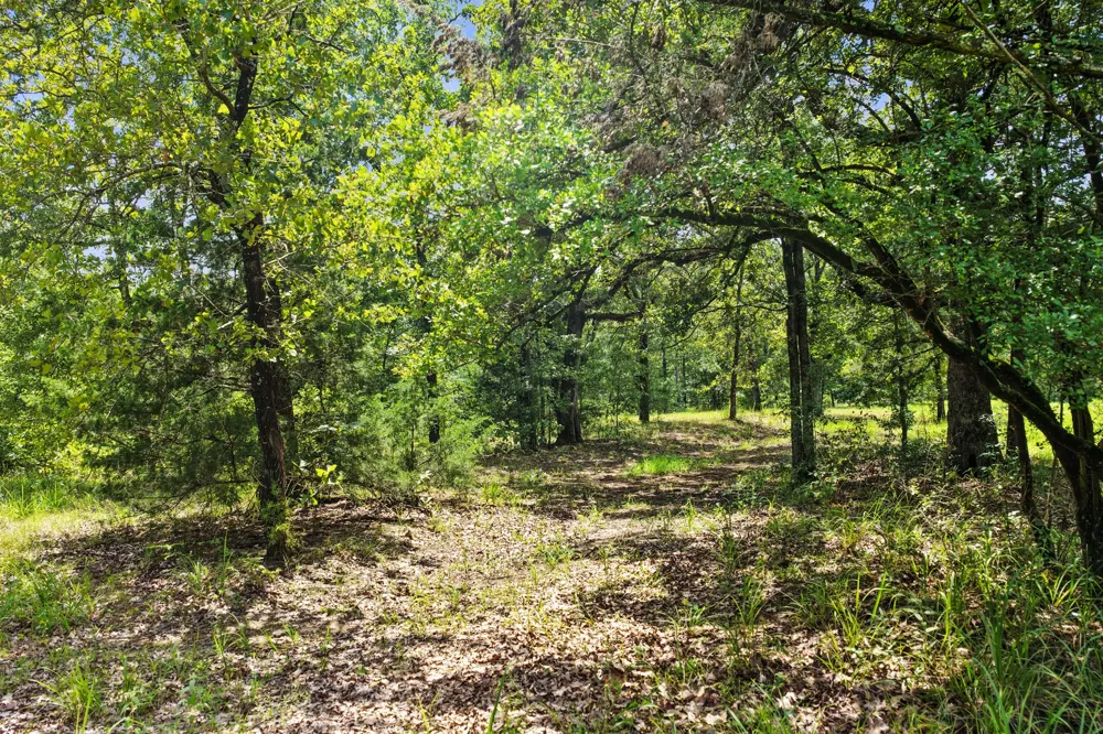 CR 3180 Mt Pleasant, TX 75455
