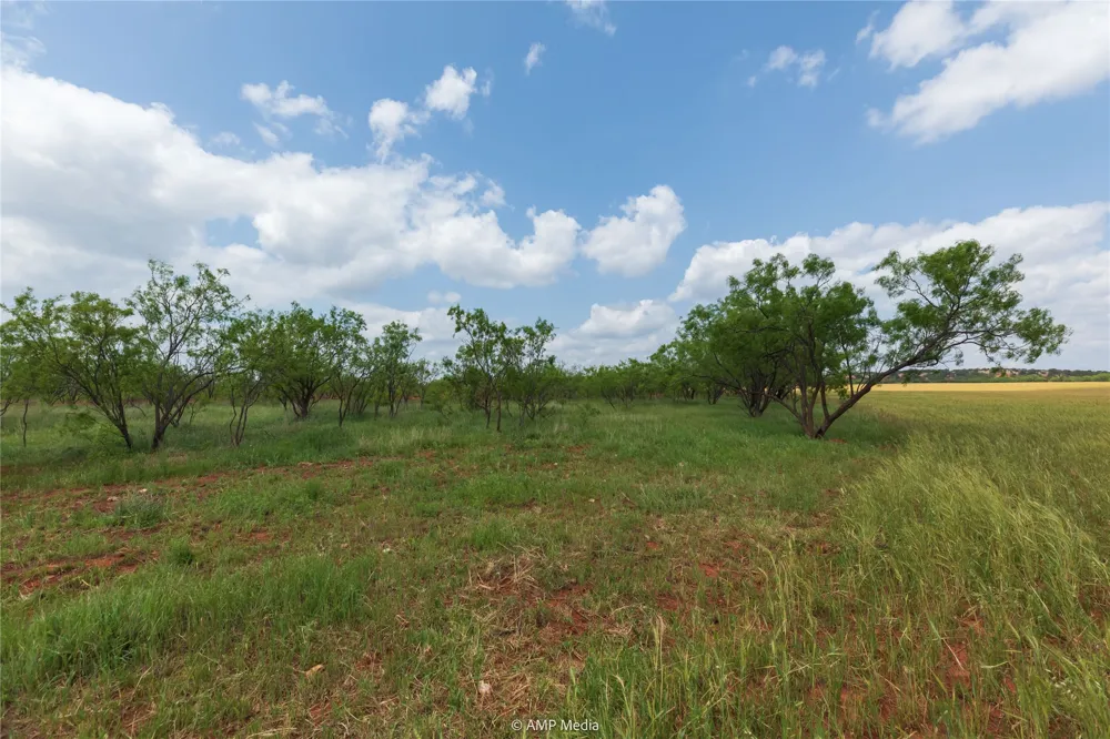 1598 FM 1086 Winters, TX 79567