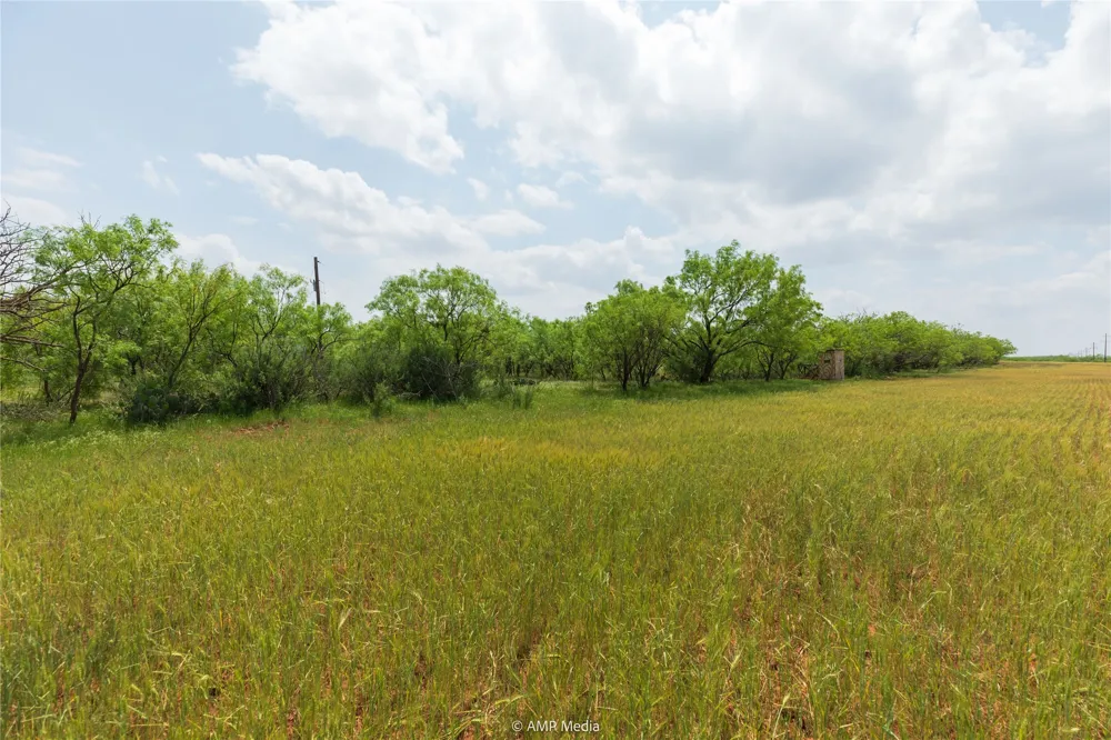 1598 FM 1086 Winters, TX 79567
