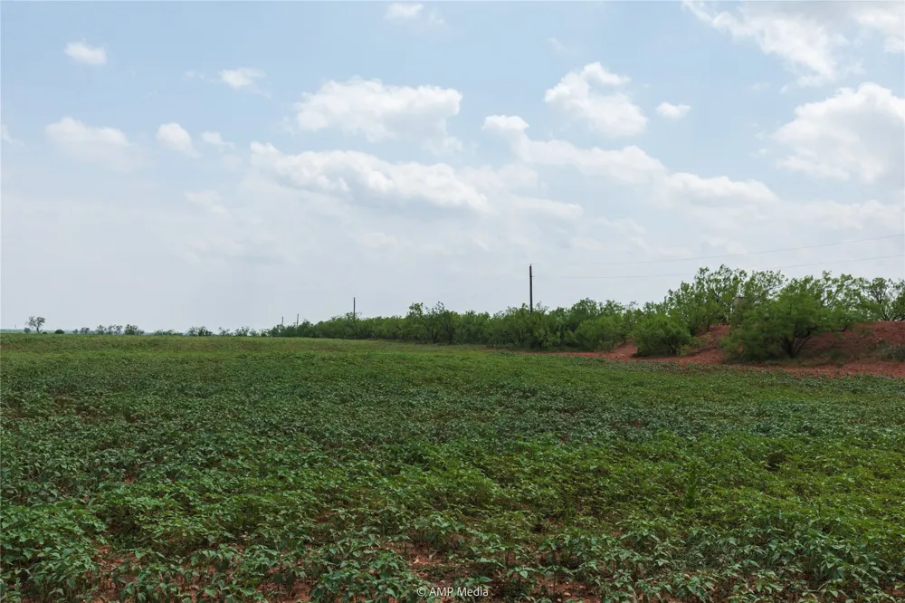 1598 FM 1086 Winters, TX 79567