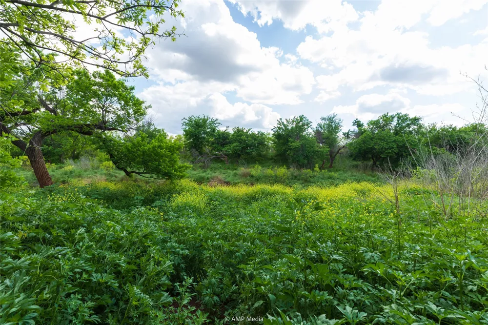 TBD CR 327 Abilene, TX 79601