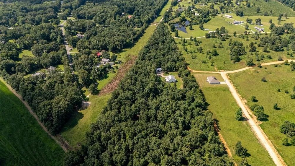 77 Oakwood Ave Summertown, TN 38483