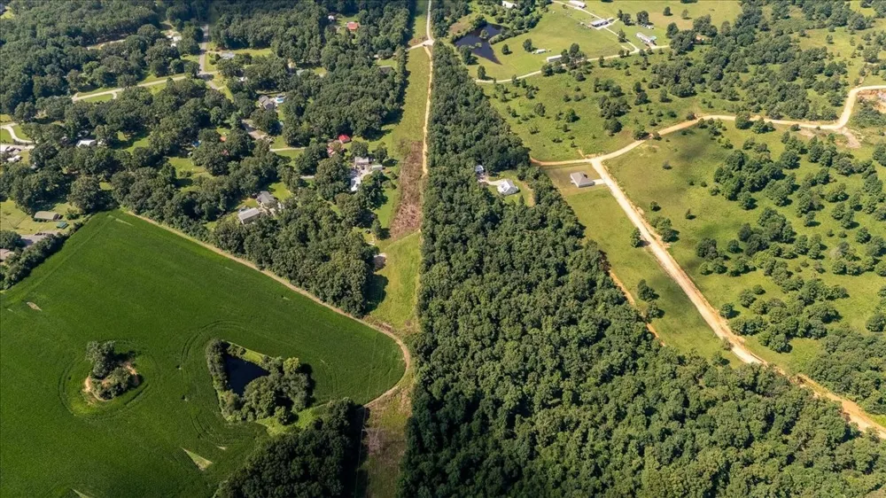 77 Oakwood Ave Summertown, TN 38483