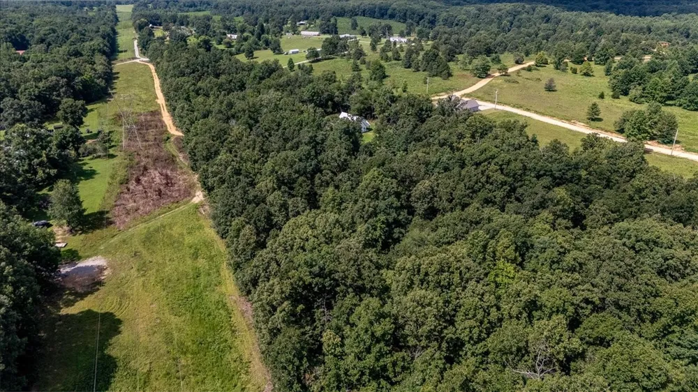 77 Oakwood Ave Summertown, TN 38483