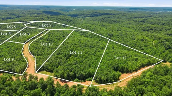 0 Pin Oak  Ct Waverly, TN 37185