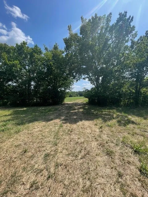 VZ County Road 2316 Canton, TX 75103