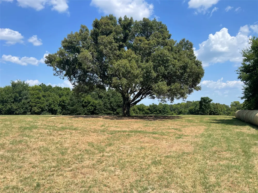 VZ County Road 2316 Canton, TX 75103