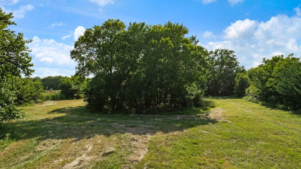 FM 100 Honey Grove, TX 75446