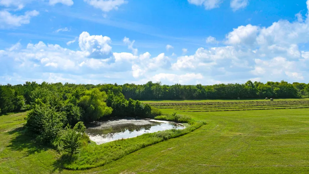 FM 100 Honey Grove, TX 75446
