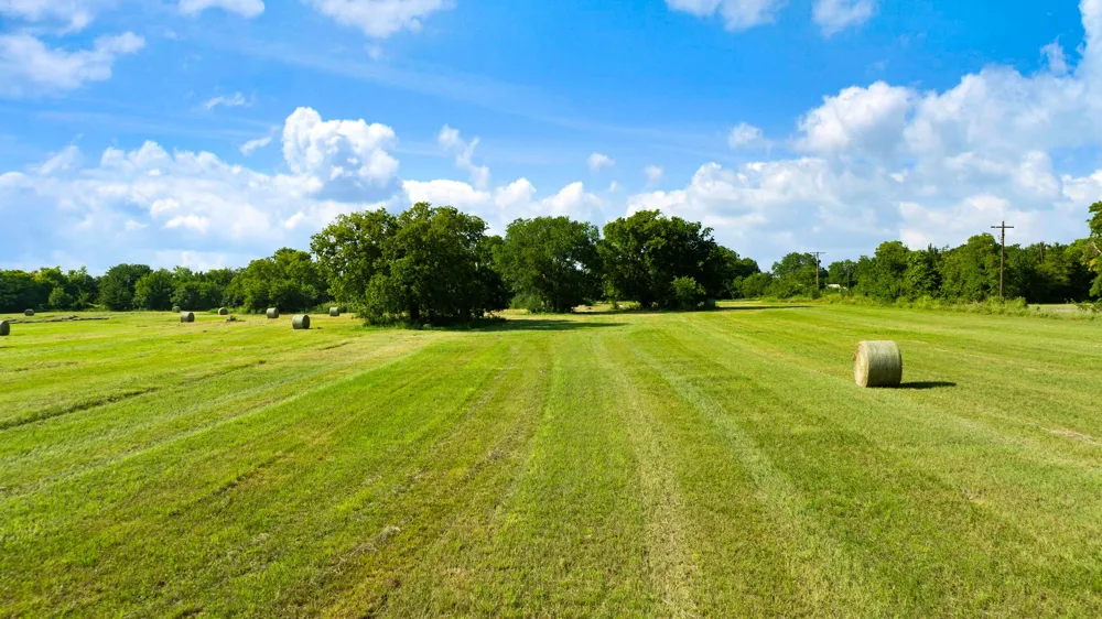 FM 100 Honey Grove, TX 75446