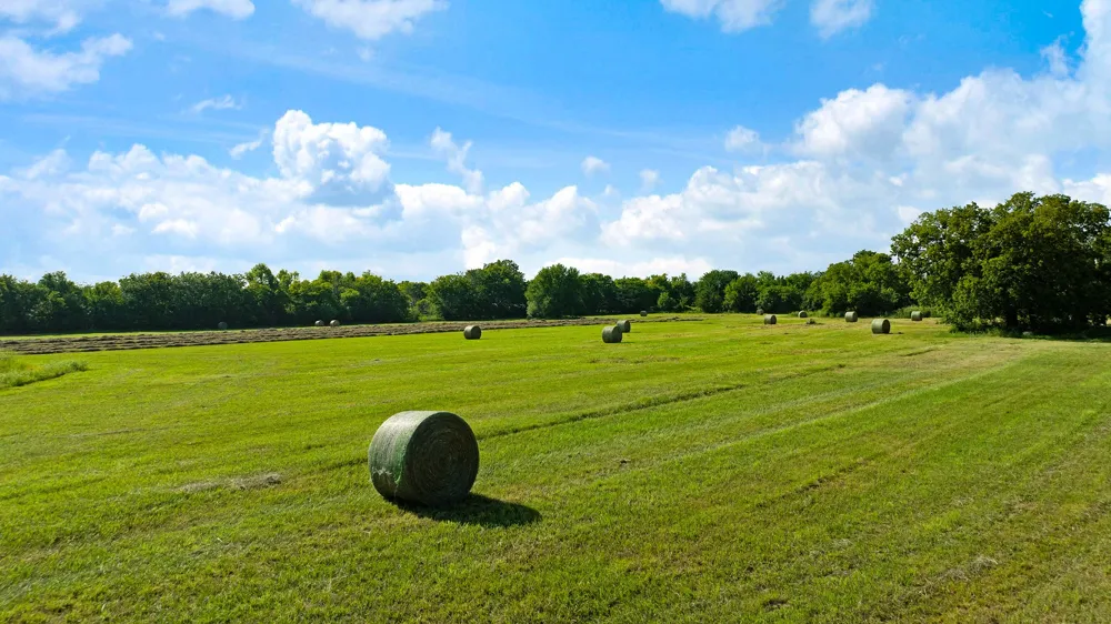 FM 100 Honey Grove, TX 75446