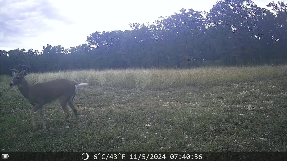 1309 County Road 1895 Sunset, TX 76270