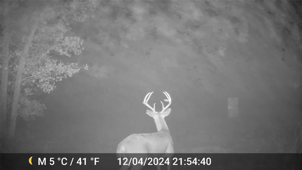 1309 County Road 1895 Sunset, TX 76270