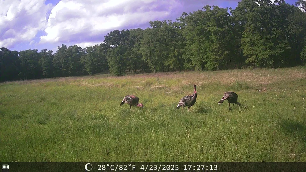 1309 County Road 1895 Sunset, TX 76270