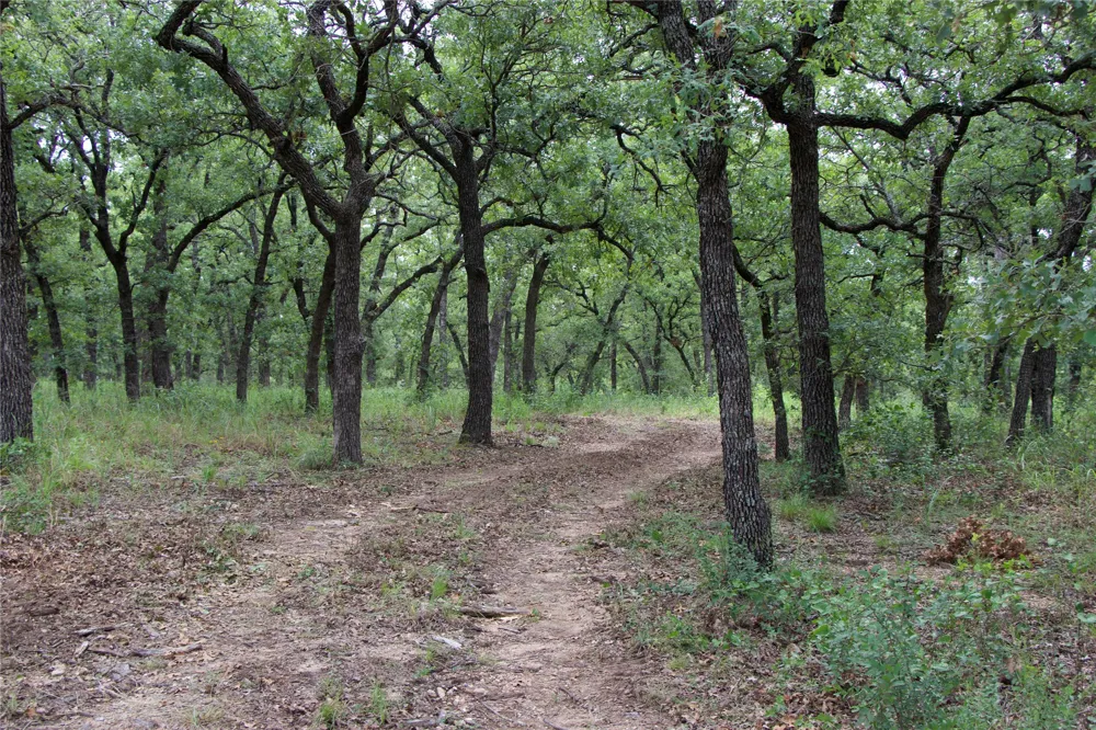 1309 County Road 1895 Sunset, TX 76270