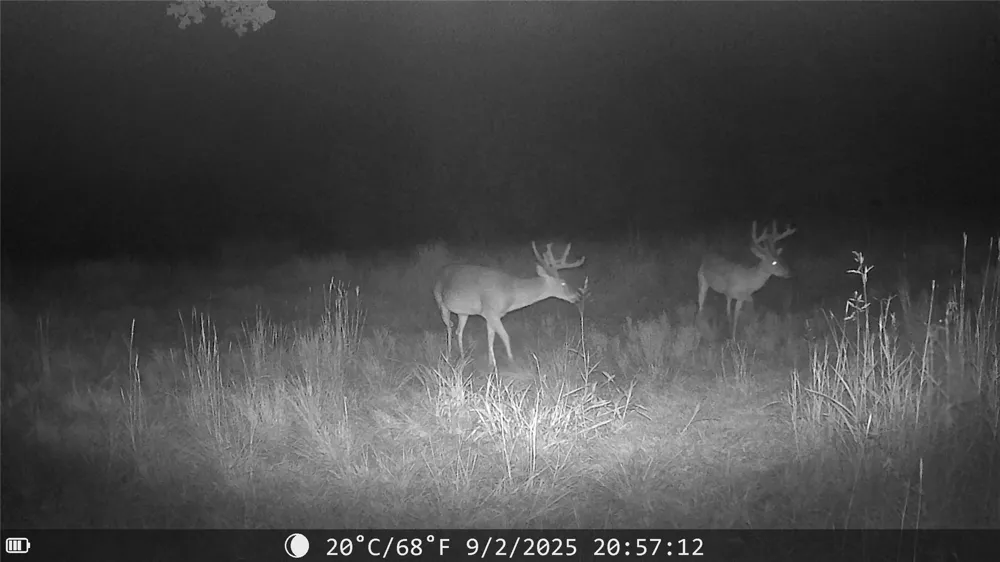 1309 County Road 1895 Sunset, TX 76270