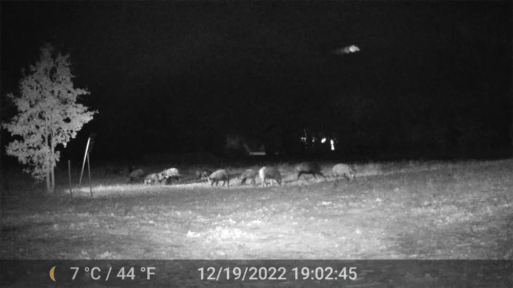 1309 County Road 1895 Sunset, TX 76270