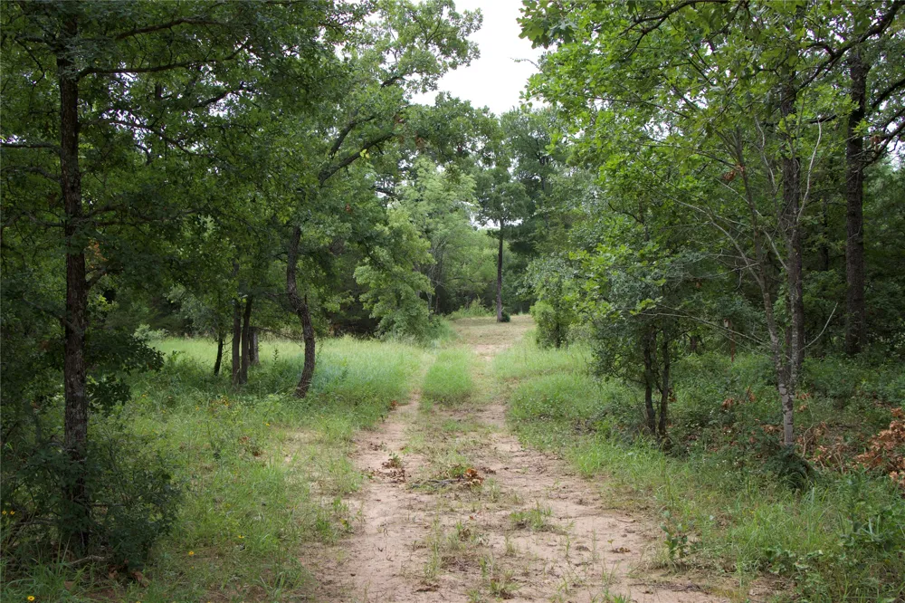 1309 County Road 1895 Sunset, TX 76270