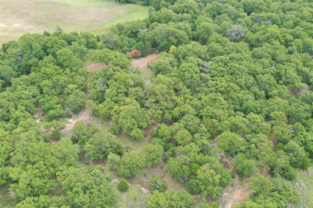 1309 County Road 1895 Sunset, TX 76270