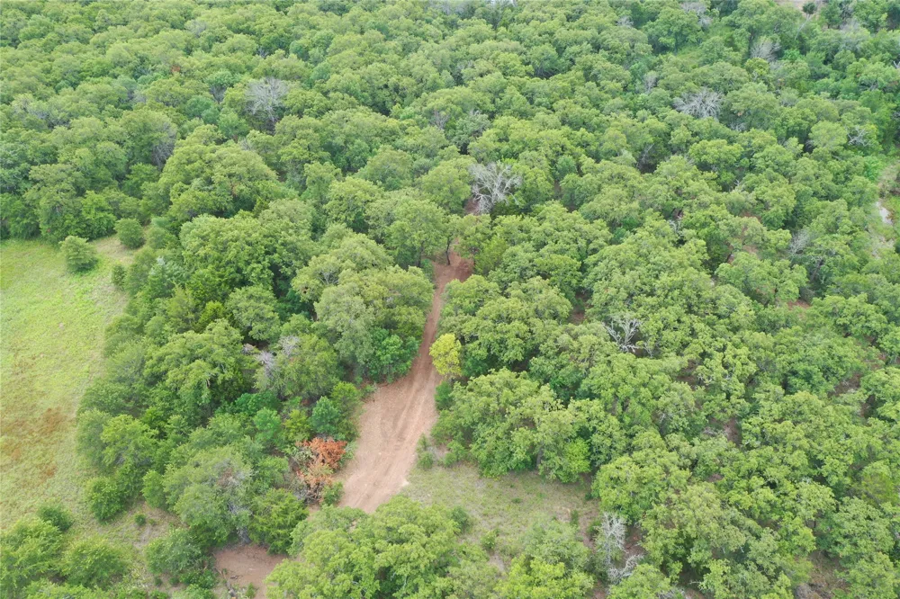 1309 County Road 1895 Sunset, TX 76270