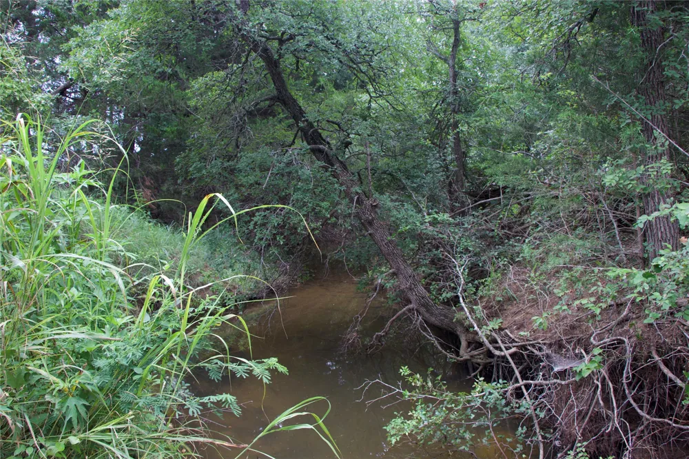 1309 County Road 1895 Sunset, TX 76270