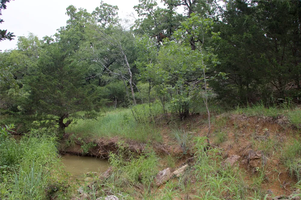1309 County Road 1895 Sunset, TX 76270