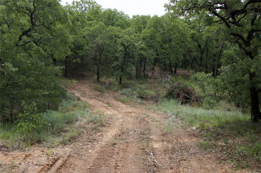 1309 County Road 1895 Sunset, TX 76270