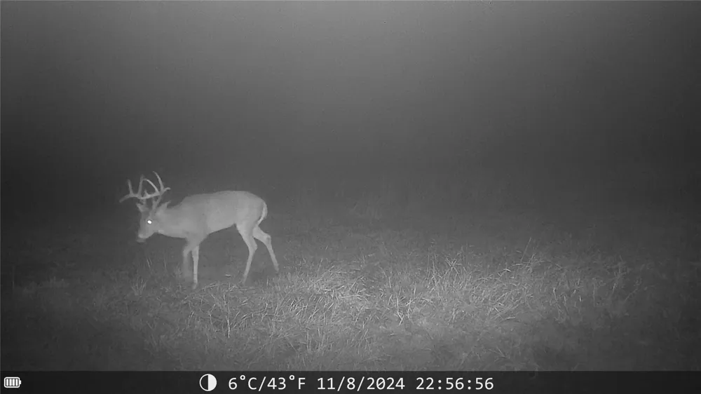 1309 County Road 1895 Sunset, TX 76270