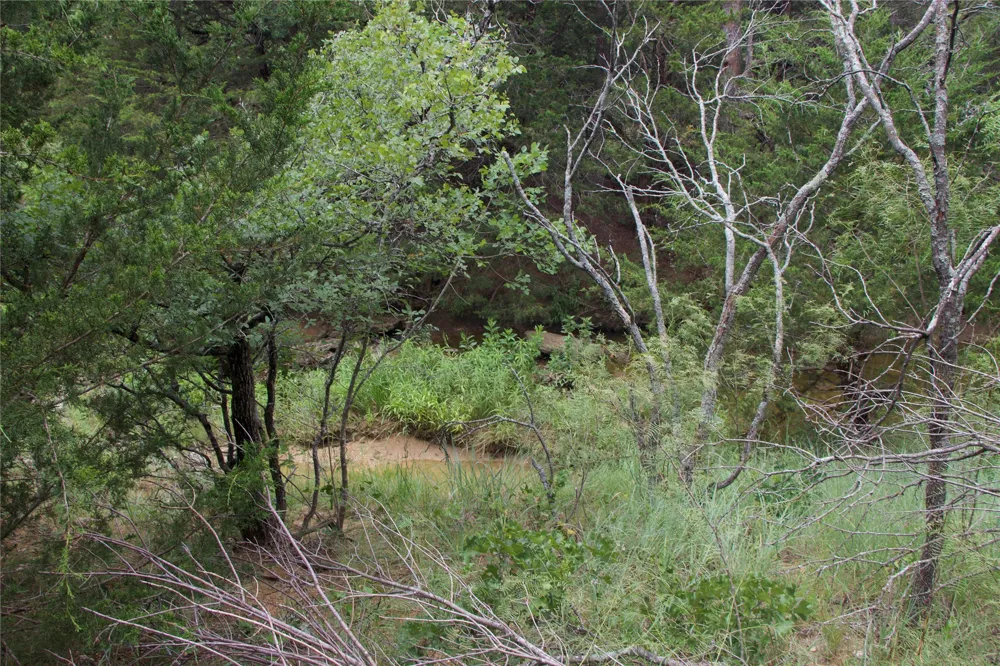 1309 County Road 1895 Sunset, TX 76270