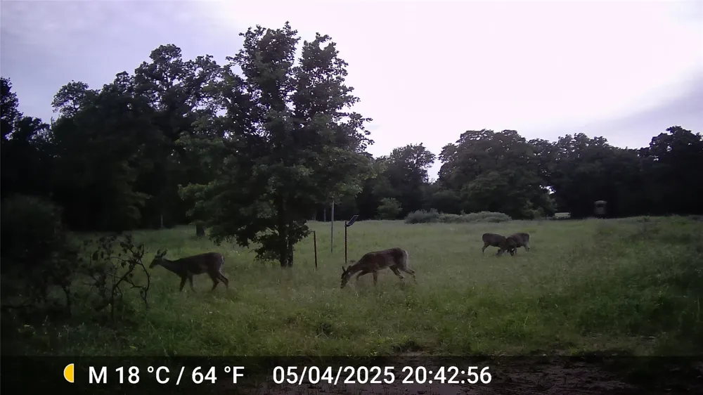 1309 County Road 1895 Sunset, TX 76270