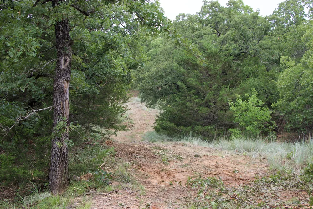 1309 County Road 1895 Sunset, TX 76270