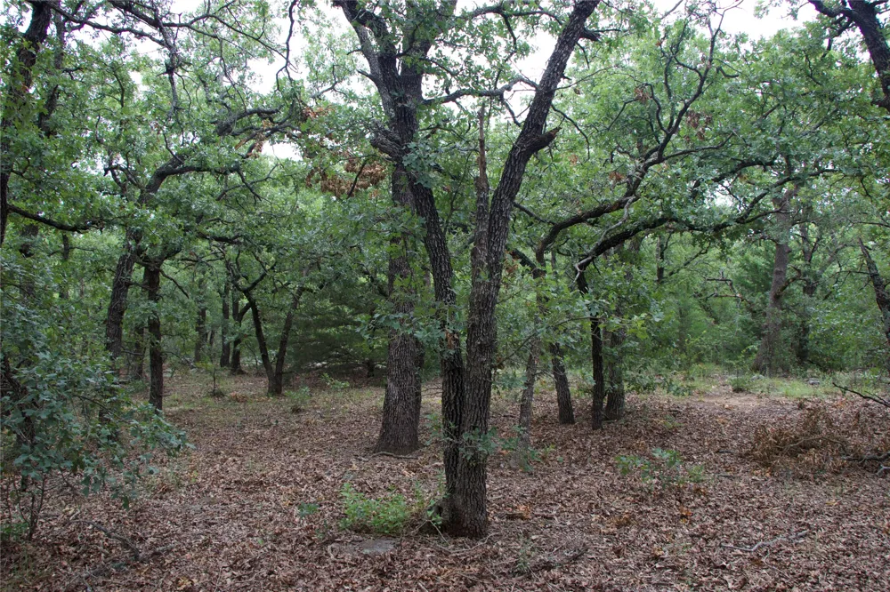 1309 County Road 1895 Sunset, TX 76270