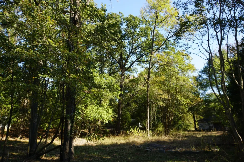 1714 Doc Holiday Log Cabin, TX 75148