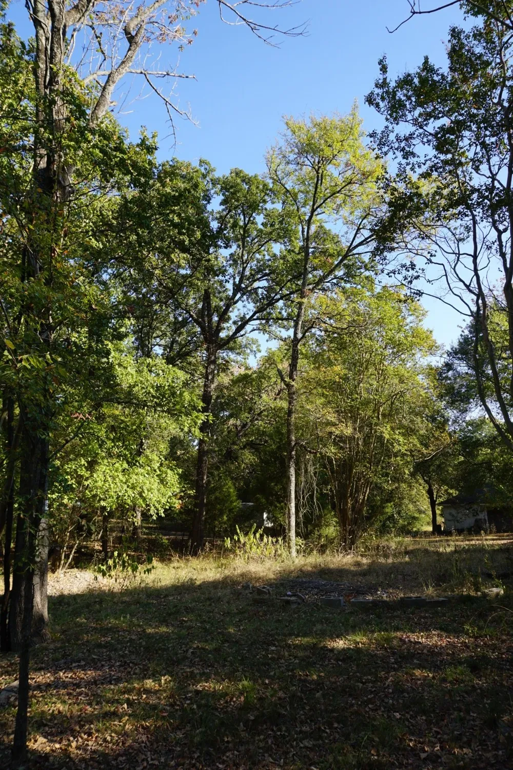 1714 Doc Holiday Log Cabin, TX 75148