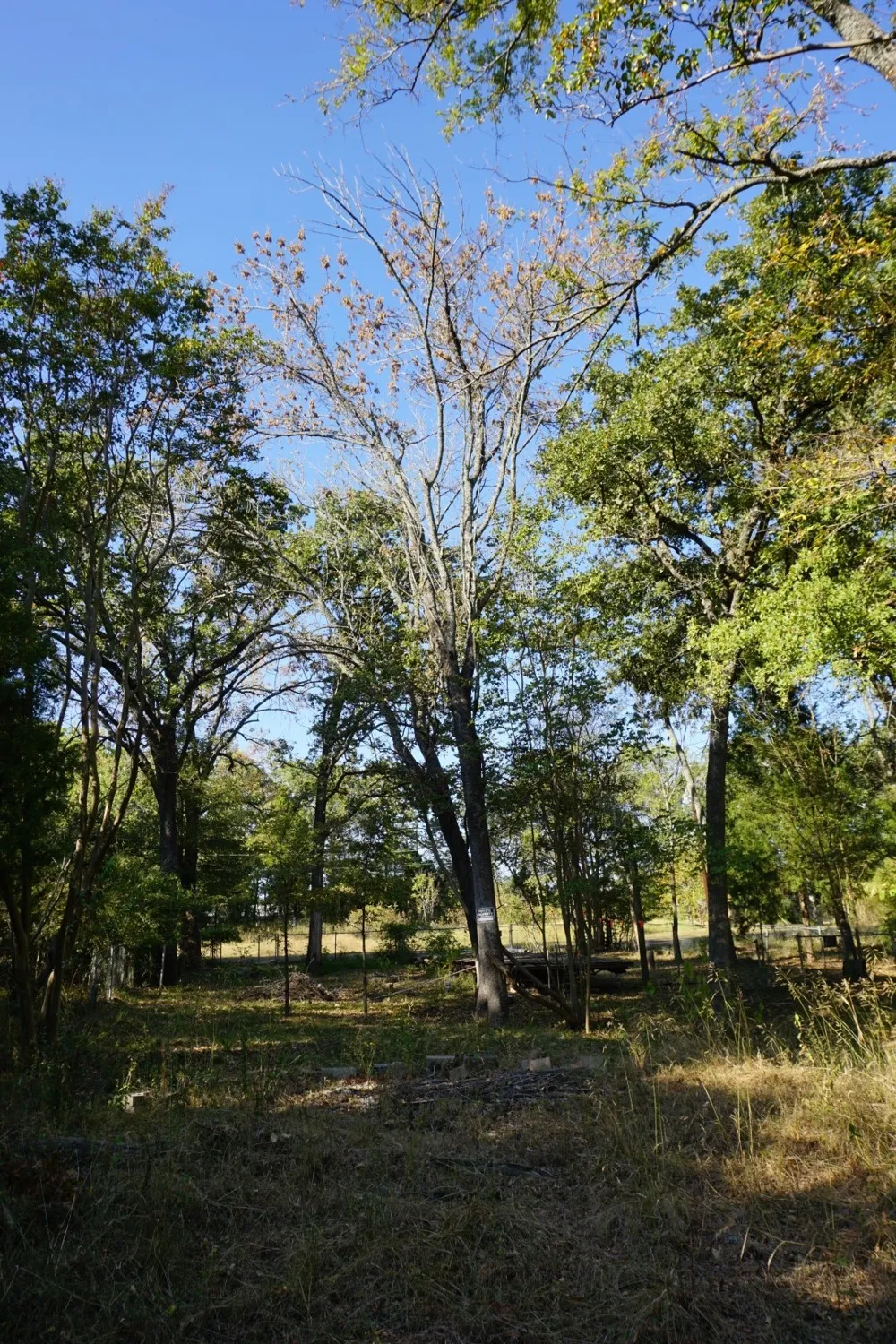 1714 Doc Holiday Log Cabin, TX 75148