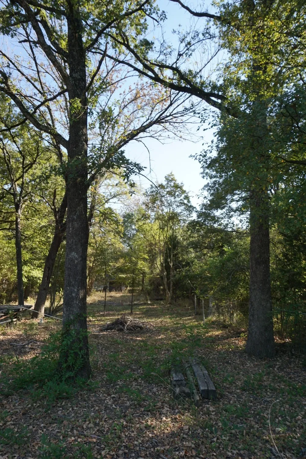 1714 Doc Holiday Log Cabin, TX 75148