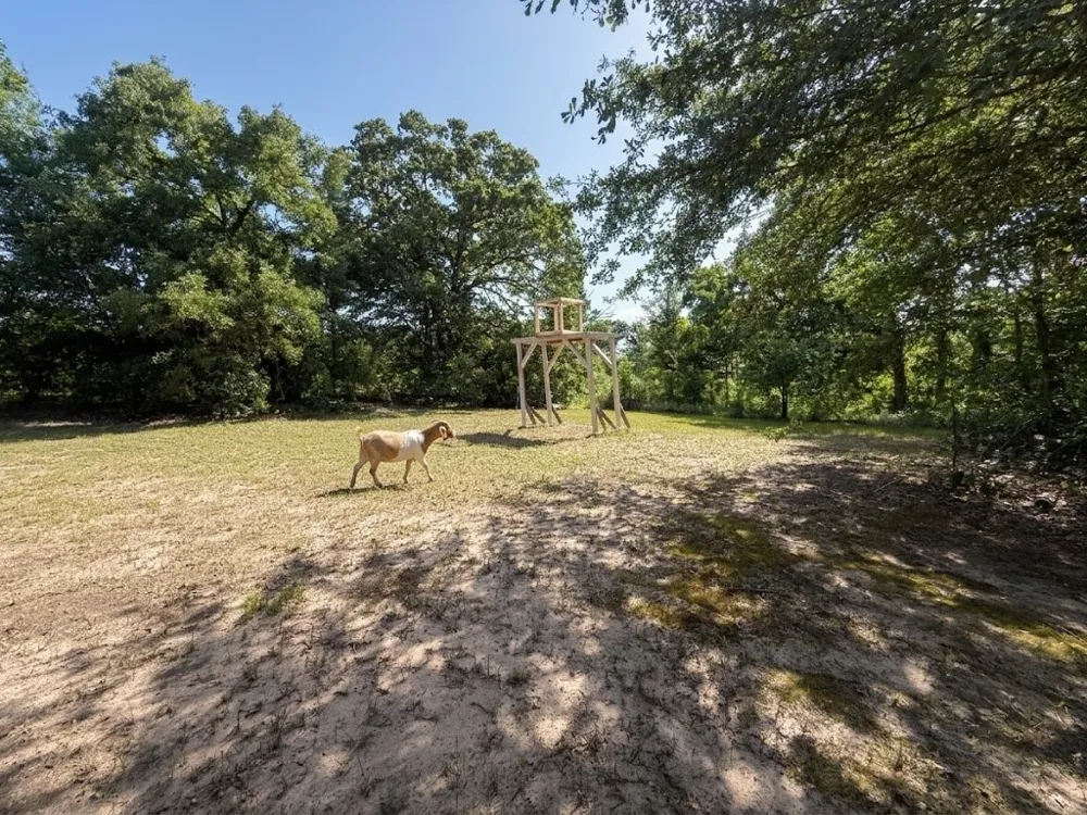 10976 US Highway 80 Fruitvale, TX 75127