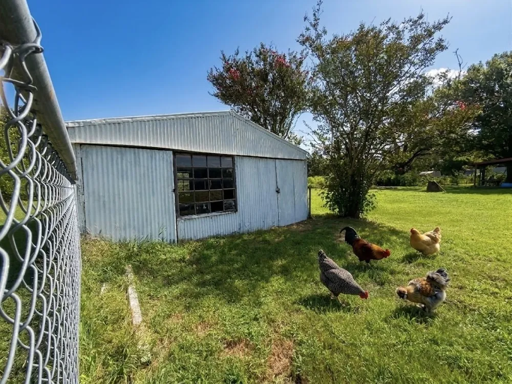 10976 US Highway 80 Fruitvale, TX 75127