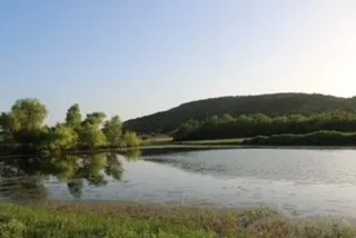 185 Beddo Bluff Court Santo, TX 76472